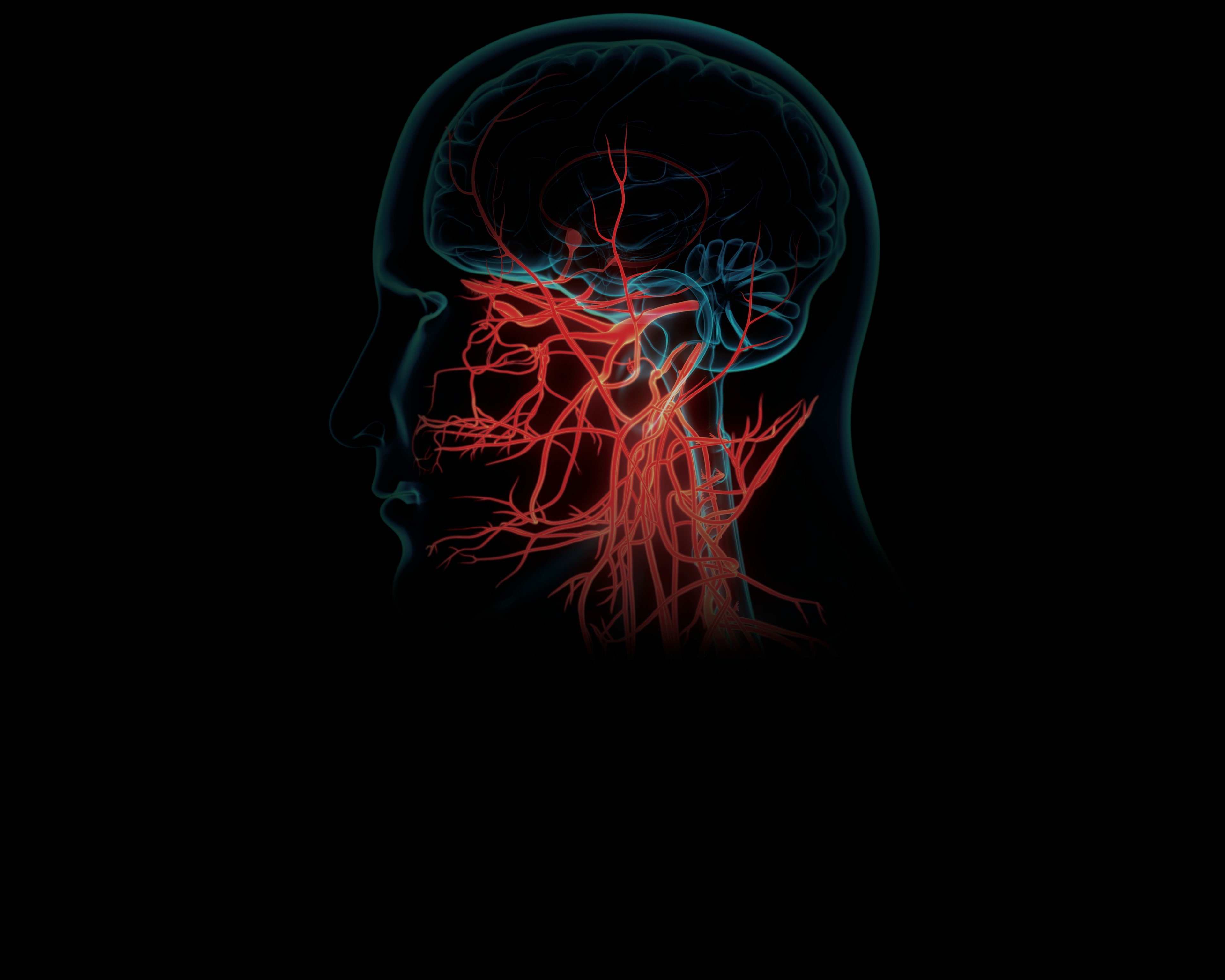 AI Anatomy Recognition